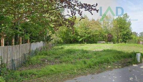 Süderbrarup Grundstücke, Süderbrarup Grundstück kaufen