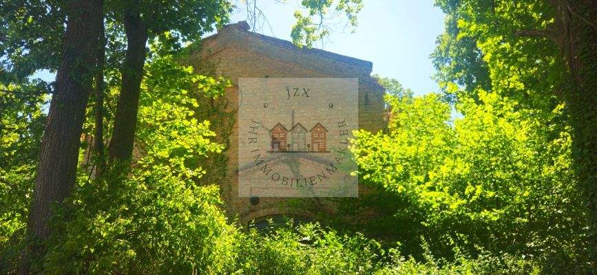 WhatsApp Image 2025-07-02 at 13.09.11 (3)