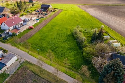 Seelow / Neulangsow Grundstücke, Seelow / Neulangsow Grundstück kaufen