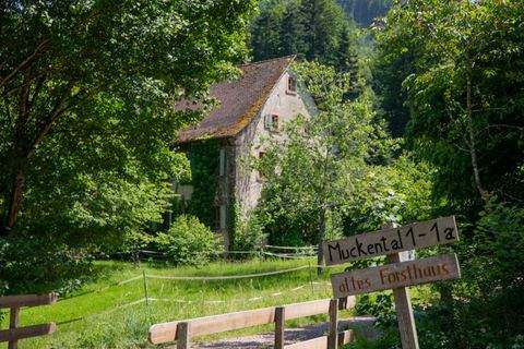 Kenzingen Häuser, Kenzingen Haus kaufen