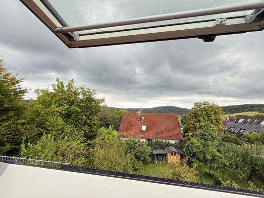 DG - Blick zum Atzelberg