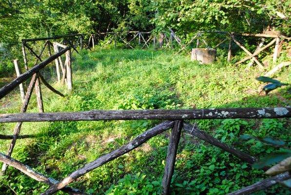 PA484-11 TERRA ITALIA IMMOBILIEN_LIGURIEN_PIGNA_LA