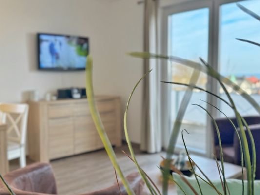 Fernseher