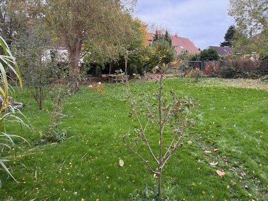 mögliches Baugrundstück hinter dem Haus.jpg