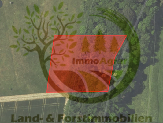 Equarhofen_GL mit Wald.png