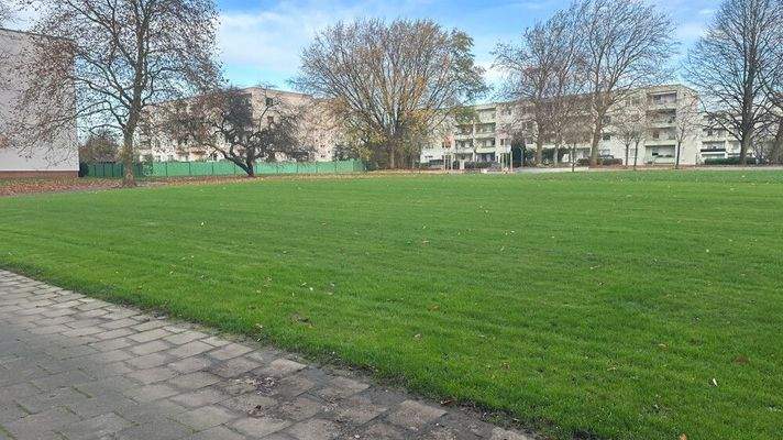 Nachbarschaftliche Außenanlagen-2