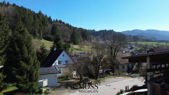 Nochmal eingebettet ins Wiesental