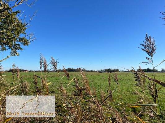 Eine Insel in der Marsch