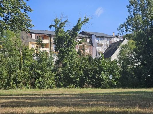 Blick ins Grüne vom Balkon aus