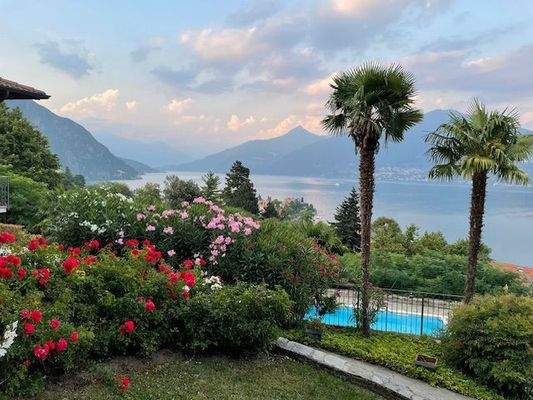 IMG_5911-w1200 (1).jpg