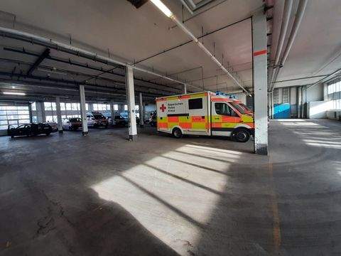 München Halle, München Hallenfläche