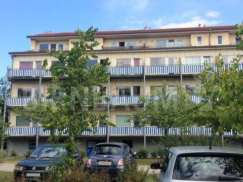 Greifswald Wohnungen, Greifswald Wohnung mieten