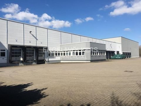 Hannover Halle, Hannover Hallenfläche