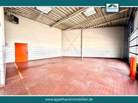 Osnabrück Halle, Osnabrück Hallenfläche