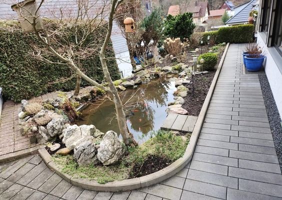 Bild 12