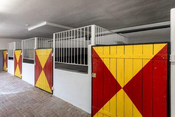 Pferdestallungen im Gebäude