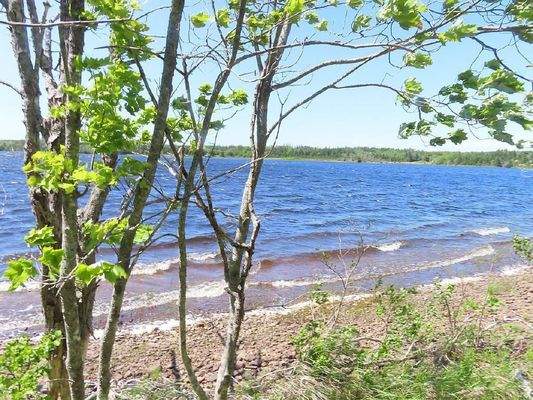 Cape Breton - Wunderschönes See-Ufer-Areal mit 7,7