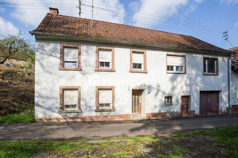 Offenbach-Hundheim Häuser, Offenbach-Hundheim Haus kaufen