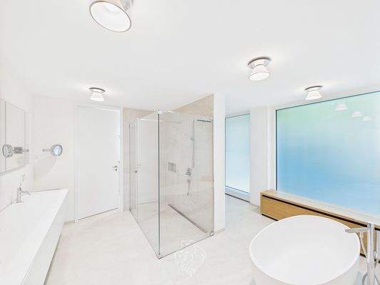 Masterbad 1.UG (Perspektivenwechsel)  