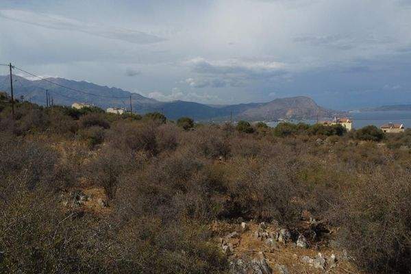 Kreta, Kokkino Chorio: Malerisches Grundstück mit Meerblick und Baurechten zu verkaufen