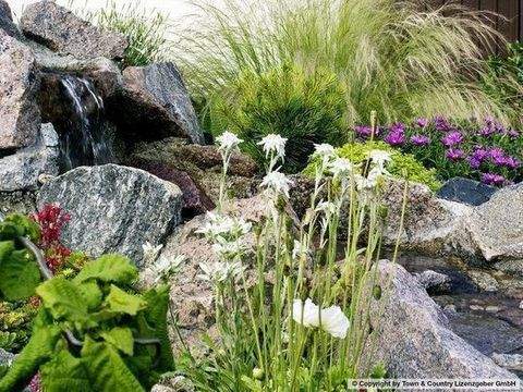 Köngernheim Grundstücke, Köngernheim Grundstück kaufen