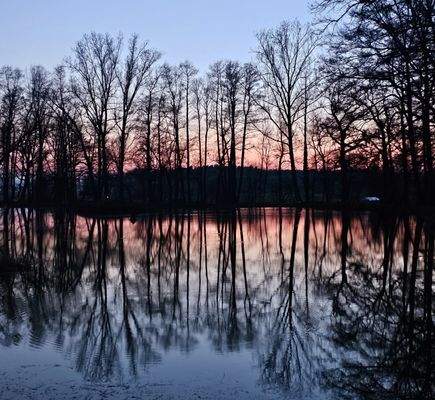 Privatsee mit Karpfenbestand