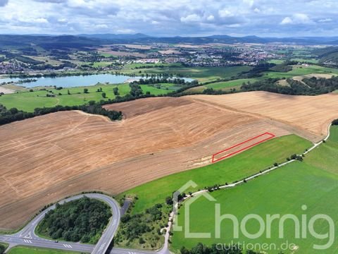 Bad Salzungen Bauernhöfe, Landwirtschaft, Bad Salzungen Forstwirtschaft