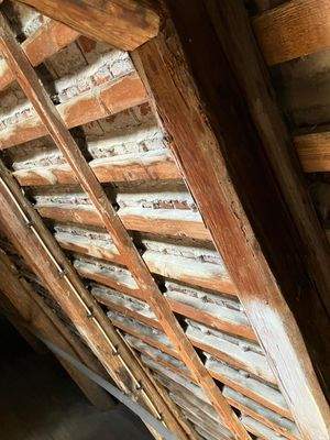 WhatsApp Bild 2025-04-23 um 09.12.56_e0928233.jpg