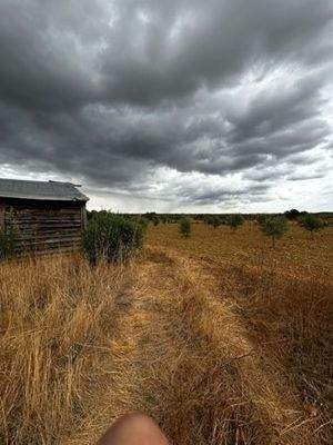 WhatsApp Bild 2025-09-29 um 15.28.32_94c4e826