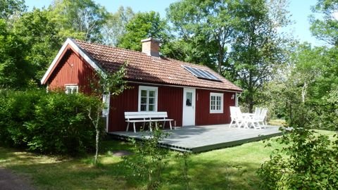 Mönsteras Häuser, Mönsteras Haus kaufen