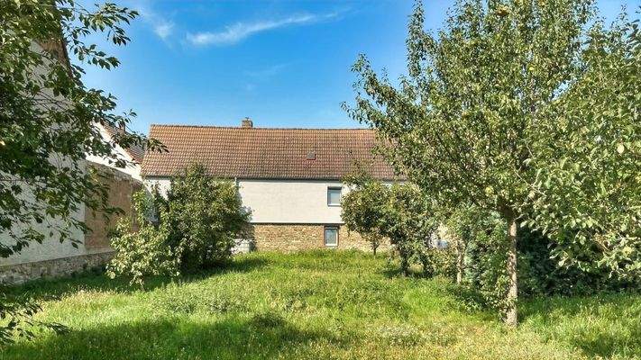 Streuobstwiese auf dem Grundstück