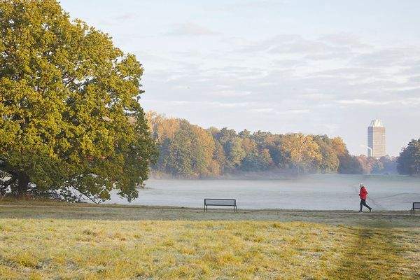 Spaziergang im Grünen