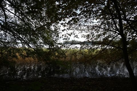 Wandlitz Grundstücke, Wandlitz Grundstück kaufen