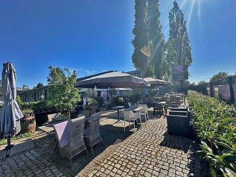 Mühlheim am Main Halle, Mühlheim am Main Hallenfläche