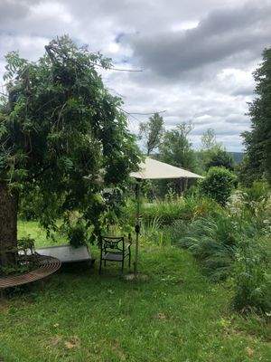 Foto von Roger Brugger Immobilienmakler