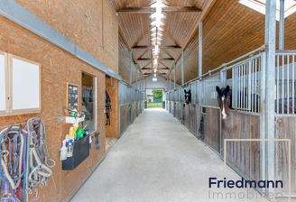 Pferdeboxen