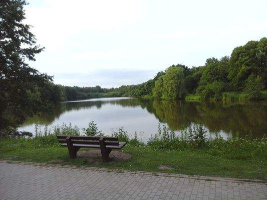Der Mühlenteich