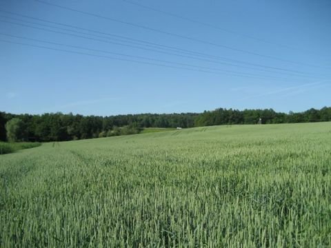 Kobern-Gondorf Bauernhöfe, Landwirtschaft, Kobern-Gondorf Forstwirtschaft