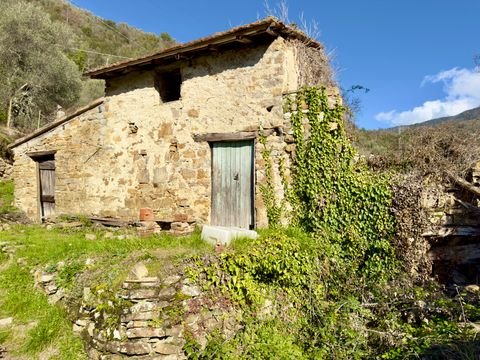 Apricale Häuser, Apricale Haus kaufen