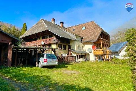 Todtnau Häuser, Todtnau Haus kaufen