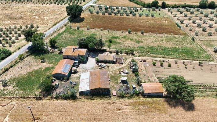 Bauernhof mit Olivenhain