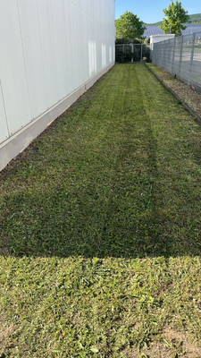 Bildschirmfoto 2025-06-06 um 11.03.47.png