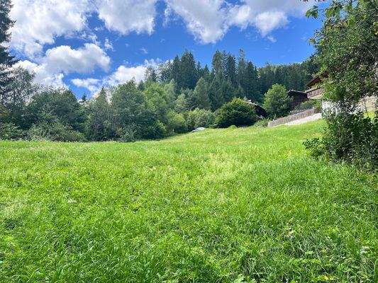 Ulten – Tourismus, Bauen und Gastronomie vereinen sich hier mit einzigartigen Chancen für neue Ideen und ein attraktives Baugrundstück – Ultimo, turismo, costruzioni e gastronomia si incontrano qui con opportunità uniche per nuove idee e un terreno edific