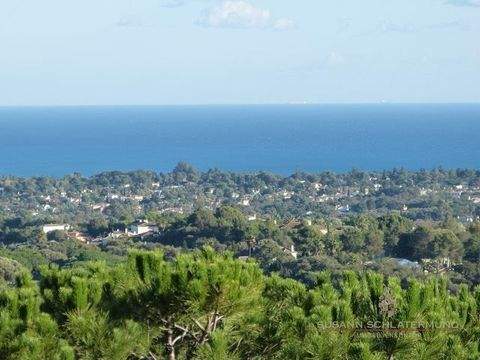 Sotogrande Grundstücke, Sotogrande Grundstück kaufen