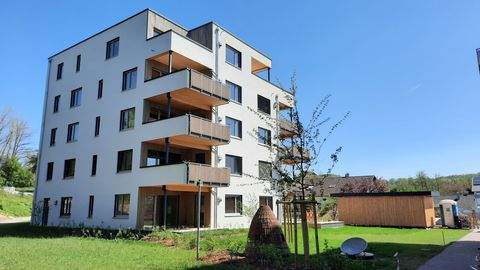 Waldshut-Tiengen Wohnungen, Waldshut-Tiengen Wohnung kaufen