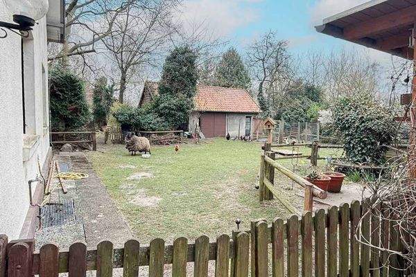 Schafs- und Hühnergehege