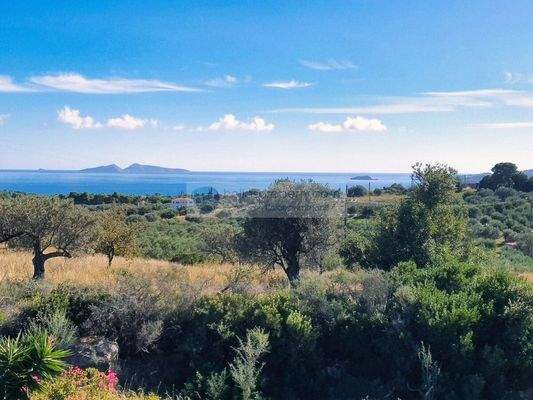 8586c98428604f6da8e827d382134476-original