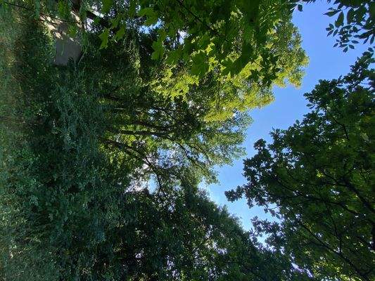 Schlosspark (12).JPG