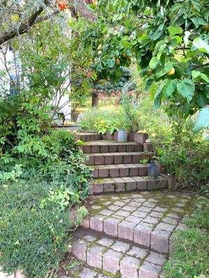 Grüner Treppenaufgang zur haustür