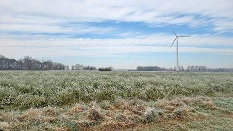 Hamminkeln Bauernhöfe, Landwirtschaft, Hamminkeln Forstwirtschaft